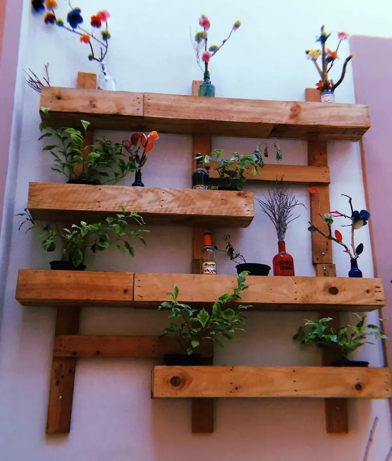 Maria Bonita Hostel Guadalajara