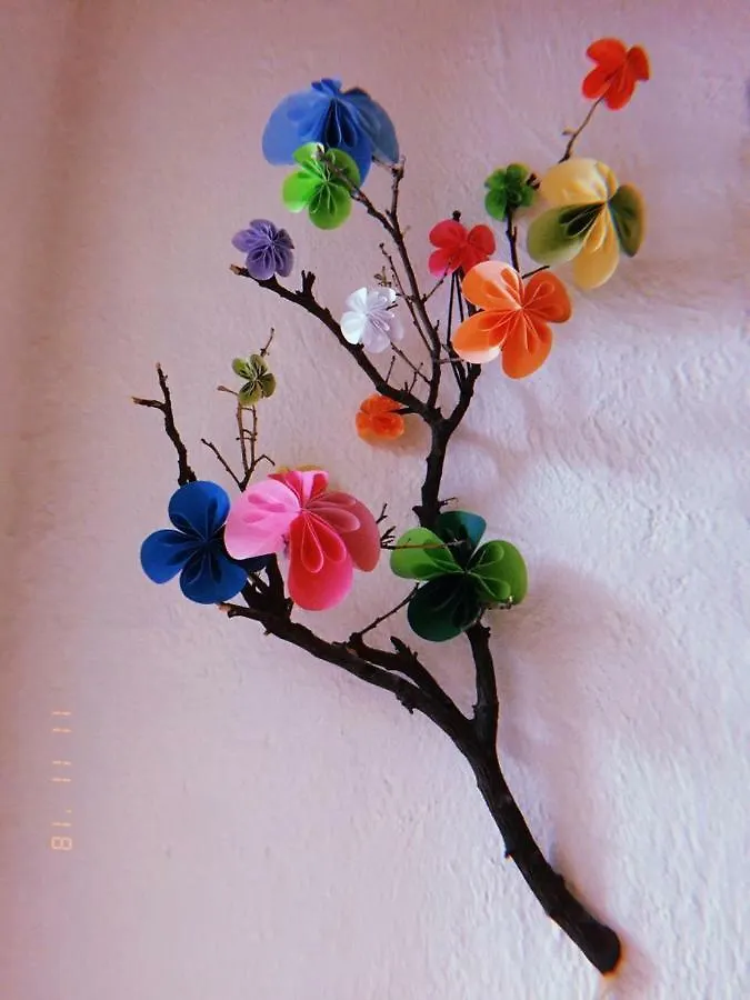 Maria Bonita Hostel Guadalajara Mexico